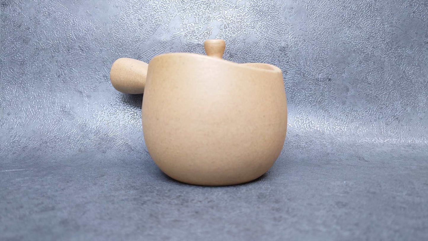 Teapot | Tokoname ware pottery | made by Isshin | Yakijime refreshing 270cc