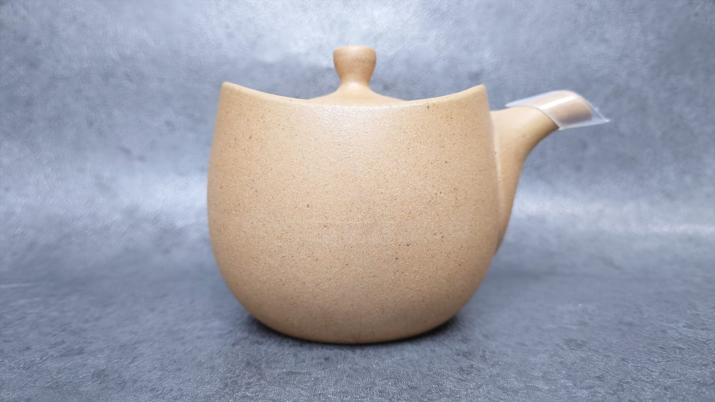 Teapot | Tokoname ware pottery | made by Isshin | Yakijime refreshing 270cc