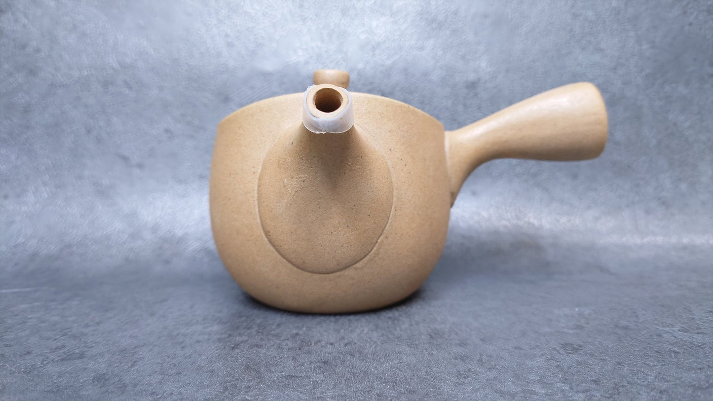 Teapot | Tokoname ware pottery | made by Isshin | Yakijime refreshing 270cc
