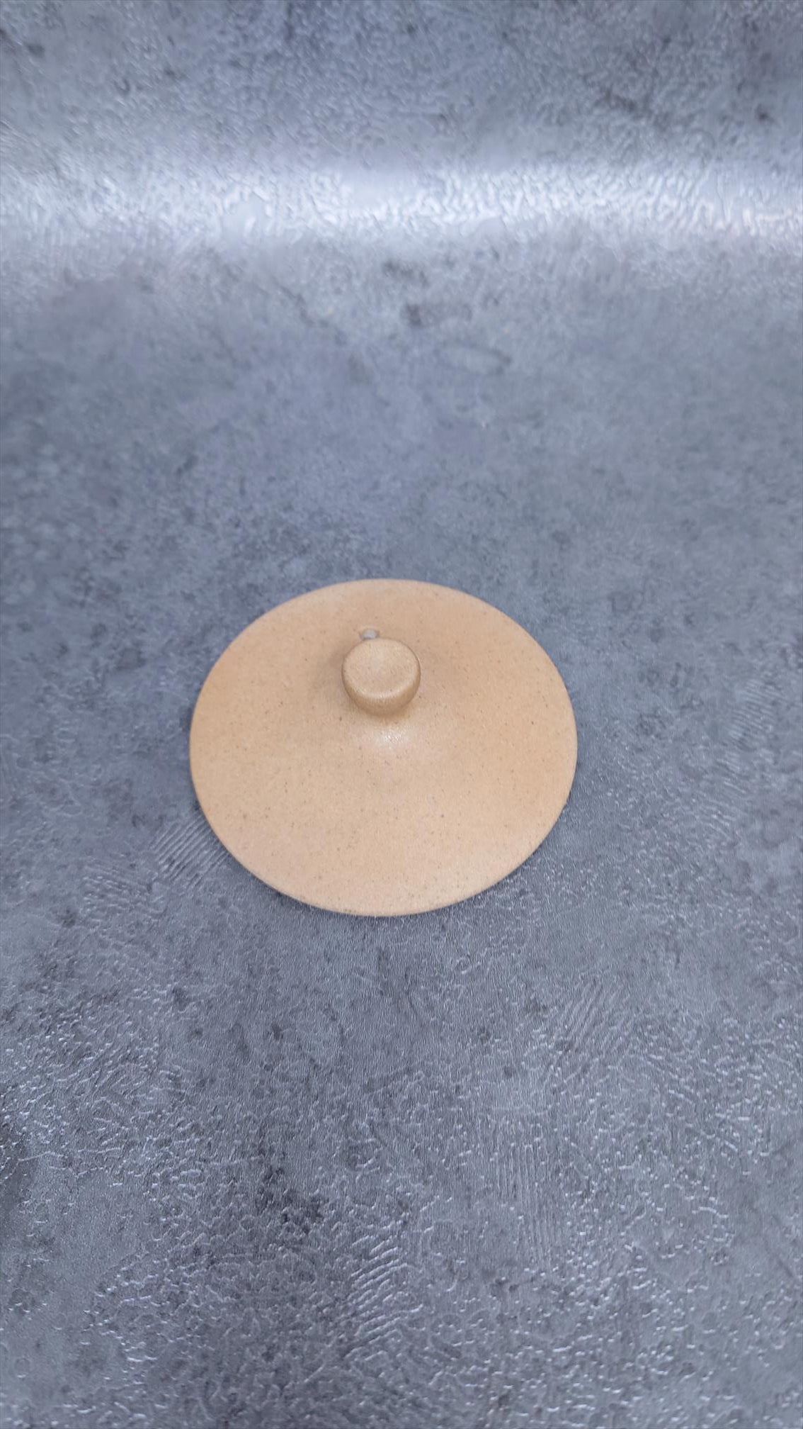 Teapot | Tokoname ware pottery | made by Isshin | Yakijime refreshing 270cc