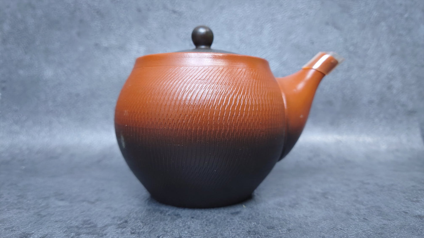 Teapot | Tokoname ware | Shokou | kiln transformed pottery tea strainer teapot 320cc