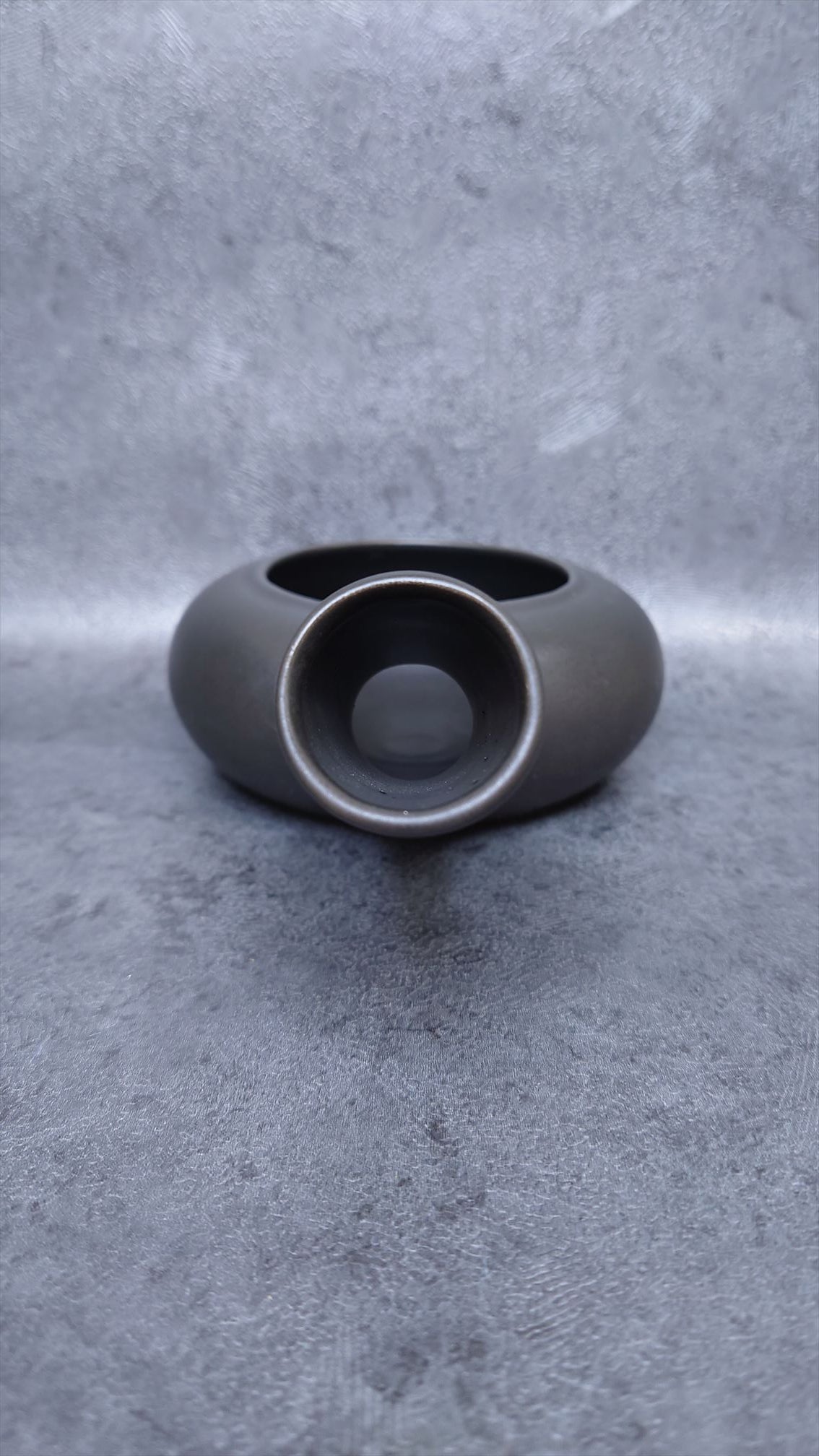 Teapot | Horaku Tokoname ware Pottery | Black roast | 24cm