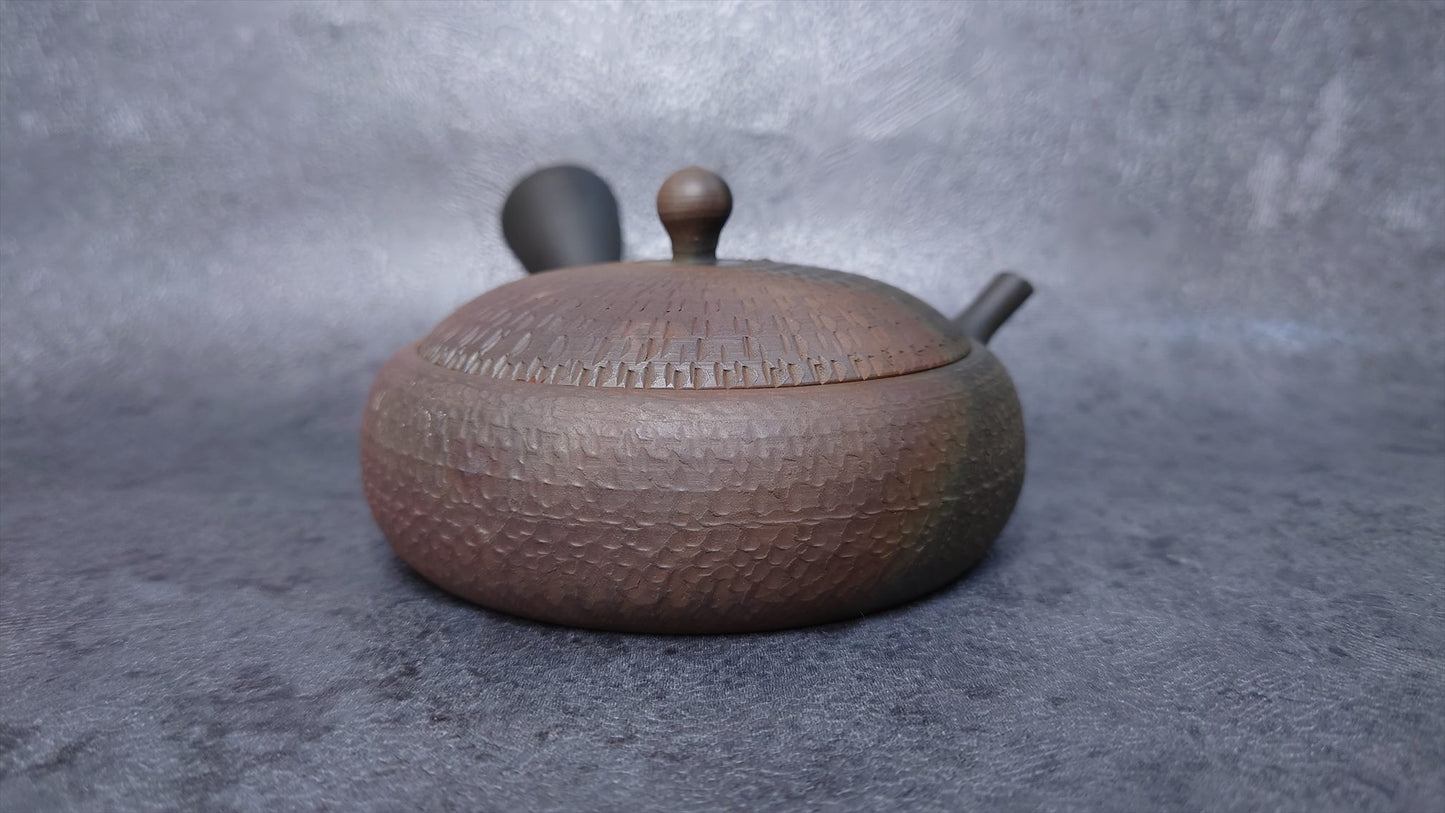 Teapot |Tokoname ware, Ceramesh |  Fire Kiln transformed extremely flat Teapot  | Gyokkou | 4.05oz (120cc)