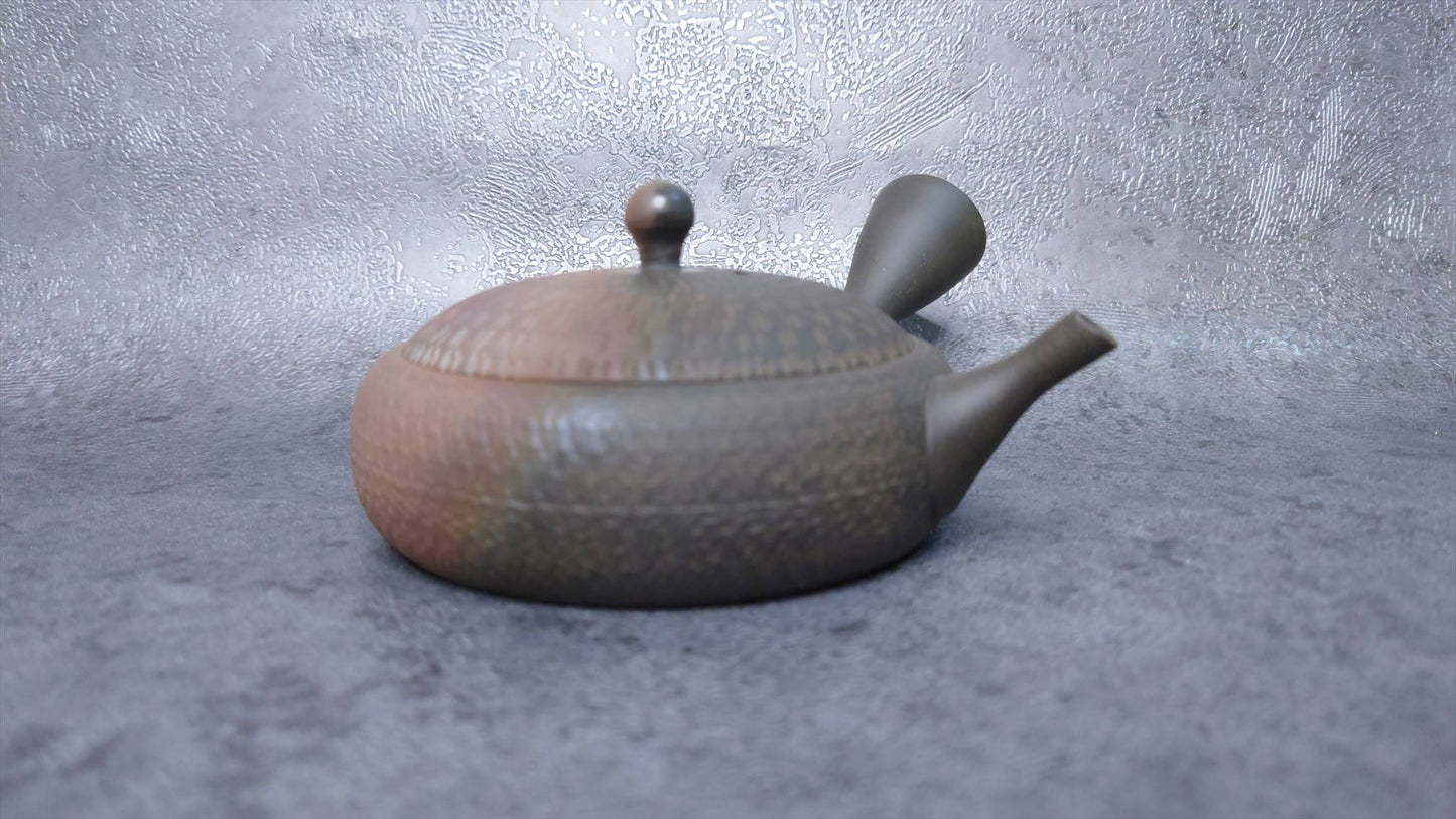Teapot |Tokoname ware, Ceramesh |  Fire Kiln transformed extremely flat Teapot  | Gyokkou | 4.05oz (120cc)