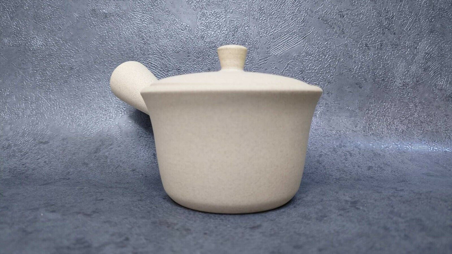 Japanese style Teapot | Tokoname ware | Jinsui-made | ceramesh & basket net 210cc