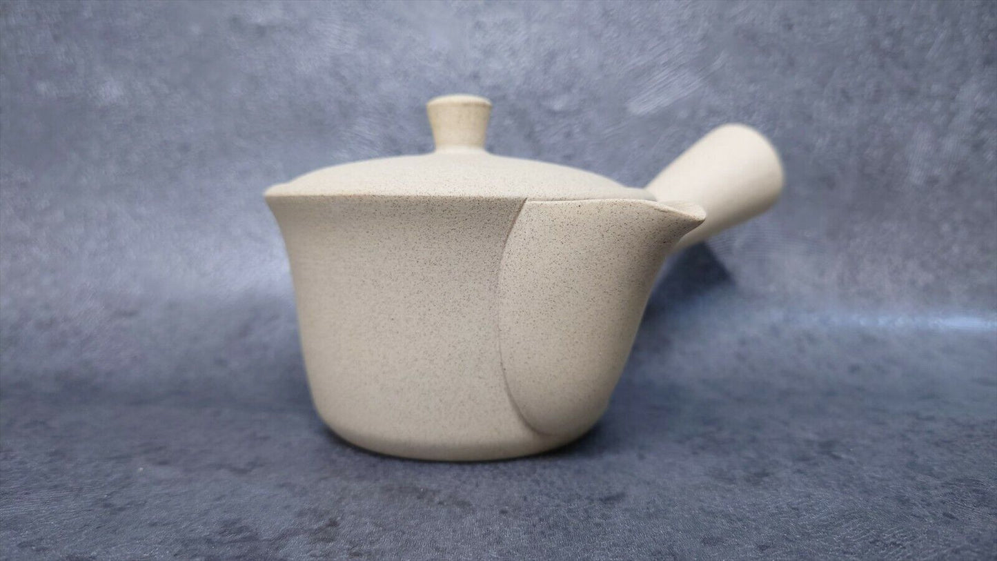 Japanese style Teapot | Tokoname ware | Jinsui-made | ceramesh & basket net 210cc