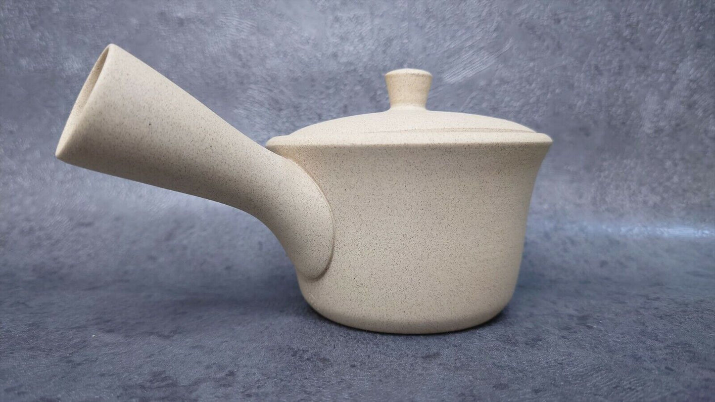 Japanese style Teapot | Tokoname ware | Jinsui-made | ceramesh & basket net 210cc