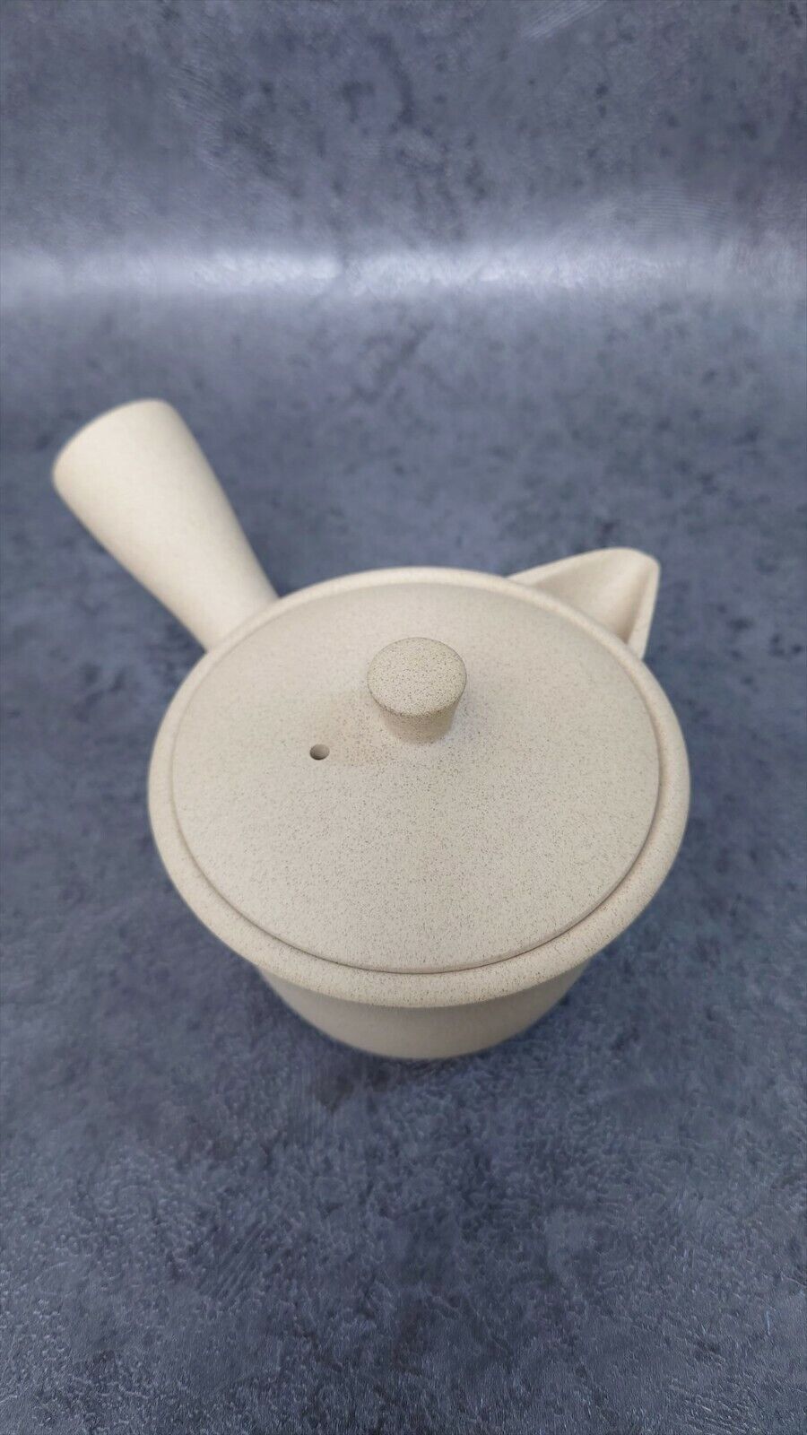 Japanese style Teapot | Tokoname ware | Jinsui-made | ceramesh & basket net 210cc