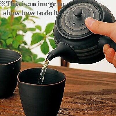 Teapot | Tokoname ware | Tomisen-made | Ceramic tea strainer teapot 250CC